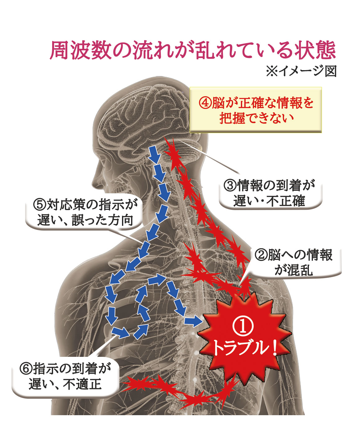 ハーツ加工